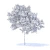 Lemon Tree 3D Model 3.1m (9558) - Image 8