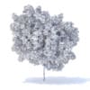 Lemon Tree 3D Model 4.4m (9561) - Image 4