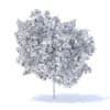 Lemon Tree with Fruits 3D Model 4.4m (9563) - Image 4