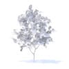 Orange Tree with Flowers 3D Model 1.6m (9568) - Image 2