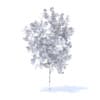 Orange Tree with Flowers 3D Model 1.6m (9568) - Image 4