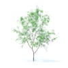 Orange Tree with Flowers 3D Model 1.6m (9568) - Image 5
