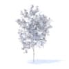 Orange Tree with Flowers 3D Model 1.6m (9568) - Image 8