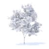Orange Tree with Fruits 3D Model 2.1m (9572) - Image 2