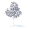 Orange Tree with Flowers 3D Model 3.4m (9574) - Image 8