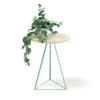 Round Table with a Plant 3D Model