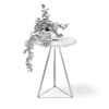 Round Table with a Plant 3D Model