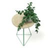 Round Table with a Plant 3D Model