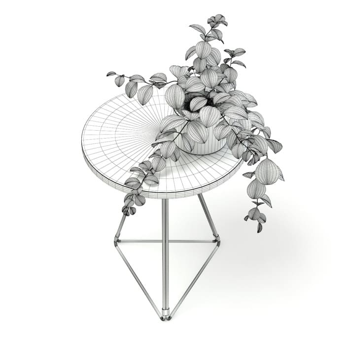 Round Table with a Plant 3D Model