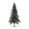 Winter Conifer Trees 3D Models Collection - Volume 98 - Image 10