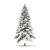 Winter Conifer Trees 3D Models Collection - Volume 98 - Image 11