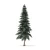 Winter Conifer Trees 3D Models Collection - Volume 98 - Image 12
