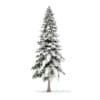 Winter Conifer Trees 3D Models Collection - Volume 98 - Image 13