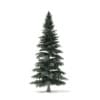 Winter Conifer Trees 3D Models Collection - Volume 98 - Image 14