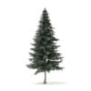 Winter Conifer Trees 3D Models Collection - Volume 98 - Image 16