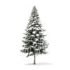 Winter Conifer Trees 3D Models Collection - Volume 98 - Image 17