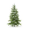 Winter Conifer Trees 3D Models Collection - Volume 98 - Image 18