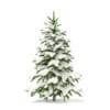 Winter Conifer Trees 3D Models Collection - Volume 98 - Image 19
