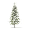 Winter Conifer Trees 3D Models Collection - Volume 98 - Image 23