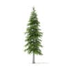 Winter Conifer Trees 3D Models Collection - Volume 98 - Image 24