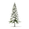 Winter Conifer Trees 3D Models Collection - Volume 98 - Image 29