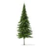 Winter Conifer Trees 3D Models Collection - Volume 98 - Image 32