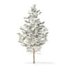 Winter Conifer Trees 3D Models Collection - Volume 98 - Image 41