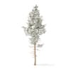 Winter Conifer Trees 3D Models Collection - Volume 98 - Image 45