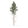 Winter Conifer Trees 3D Models Collection - Volume 98 - Image 48