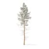 Winter Conifer Trees 3D Models Collection - Volume 98 - Image 49