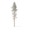 Winter Conifer Trees 3D Models Collection - Volume 98 - Image 51