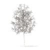 White Oak with Snow 3D Model 3.7m