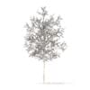 White Oak with Snow 3D Model 3.7m (10002) - Image 4