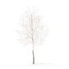 Trees 3D Models Collection - Volume 100 - Image 3