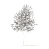 White Oak with Snow 3D Model 5.7m (10004) - Image 2