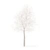 Trees 3D Models Collection - Volume 100 - Image 5