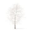 Trees 3D Models Collection - Volume 100 - Image 7
