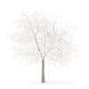 Trees 3D Models Collection - Volume 100 - Image 9
