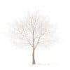 Trees 3D Models Collection - Volume 100 - Image 11