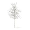 Sugar Maple with Snow 3D Model 2.9m - Image 2
