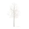 Sugar Maple with Snow 3D Model 2.9m - Image 3