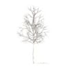 Sugar Maple with Snow 3D Model 2.9m - Image 4