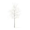 Sugar Maple with Snow 3D Model 2.9m - Image 5