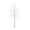 Trees 3D Models Collection - Volume 100 - Image 13