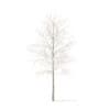 Sugar Maple with Snow 3D Model 3.3m (10014) - Image 3