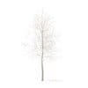 Trees 3D Models Collection - Volume 100 - Image 15