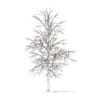 Sugar Maple with Snow 3D Model 4.2m (10016) - Image 2