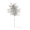 Sugar Maple with Snow 3D Model 5.2m (10018) - Image 2