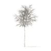 Sugar Maple with Snow 3D Model 5.2m (10018) - Image 4