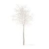 Trees 3D Models Collection - Volume 100 - Image 19